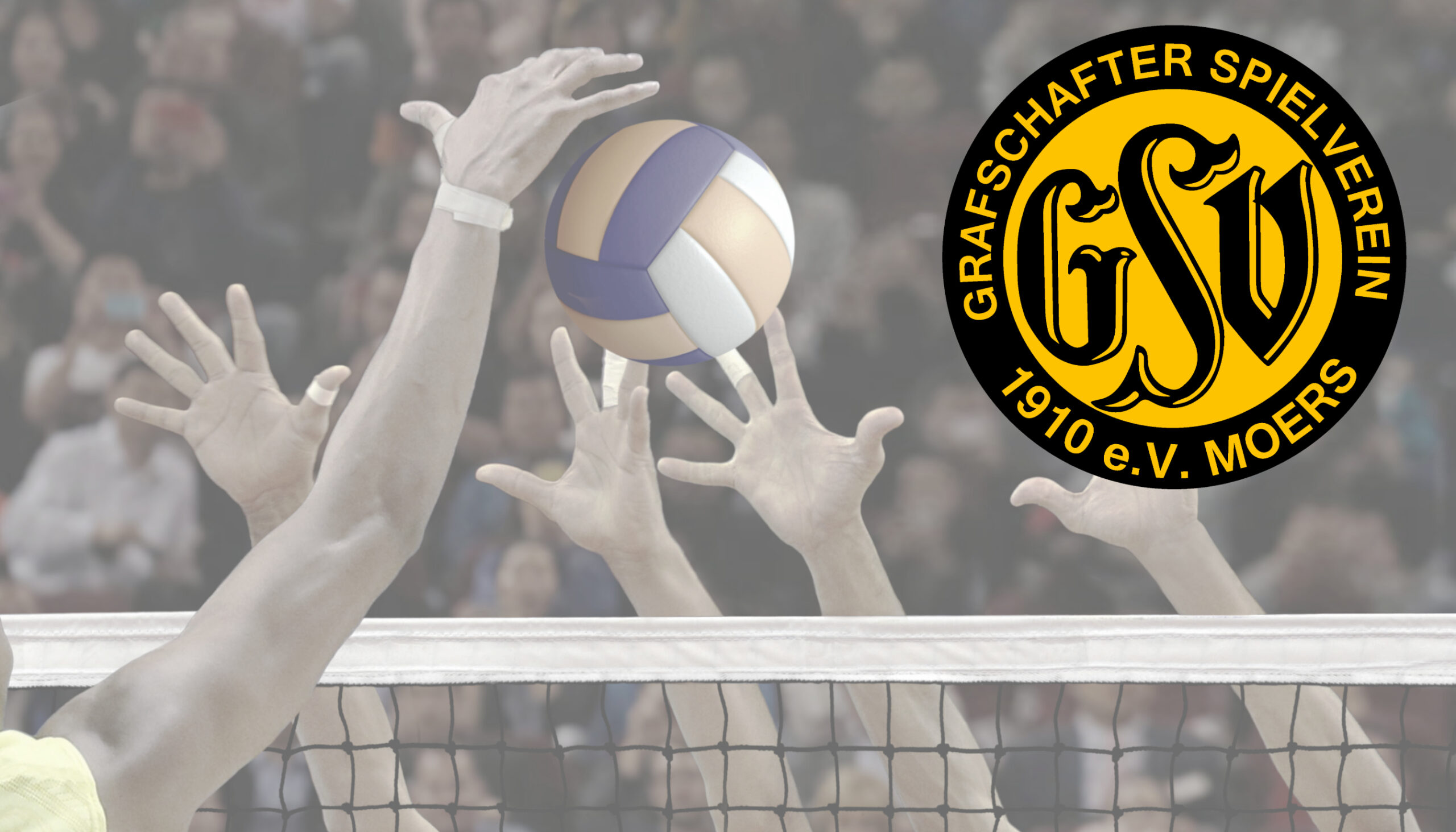 Volleyball beim GSV Moers – Leidenschaft und Teamgeist in unserer Abteilung